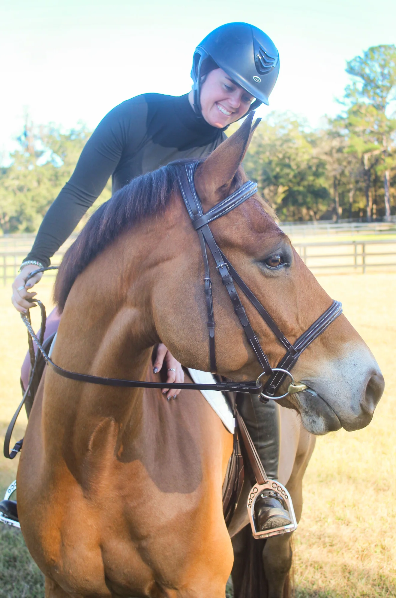 Avignon Nashville Bridle - Image 3