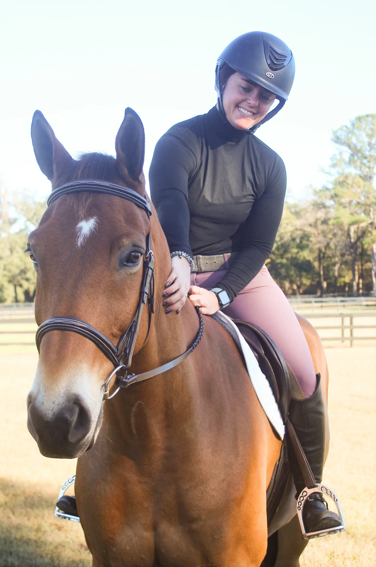 Avignon Nashville Bridle - Image 4