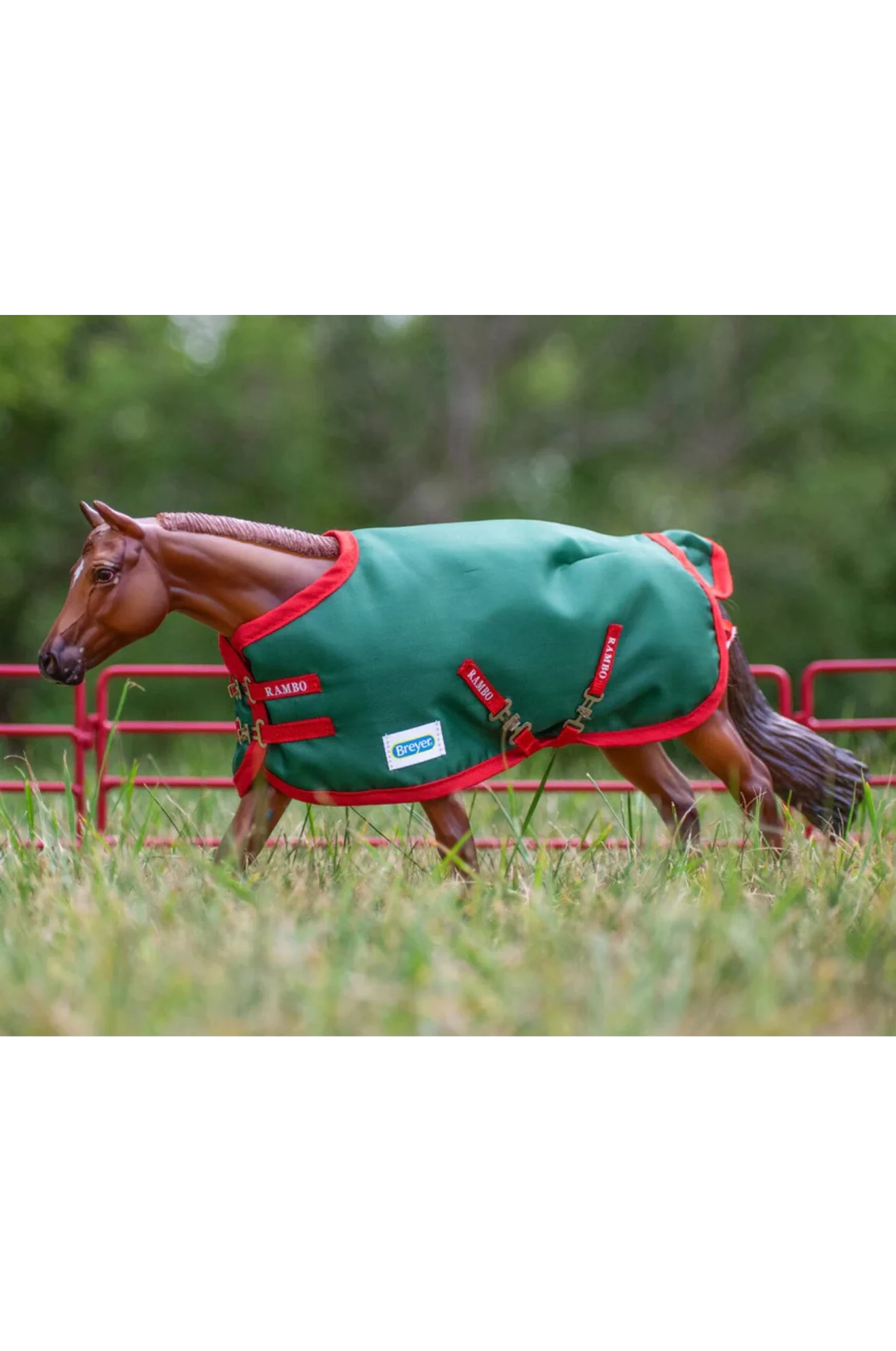 Breyer Rambo Blanket - Image 4