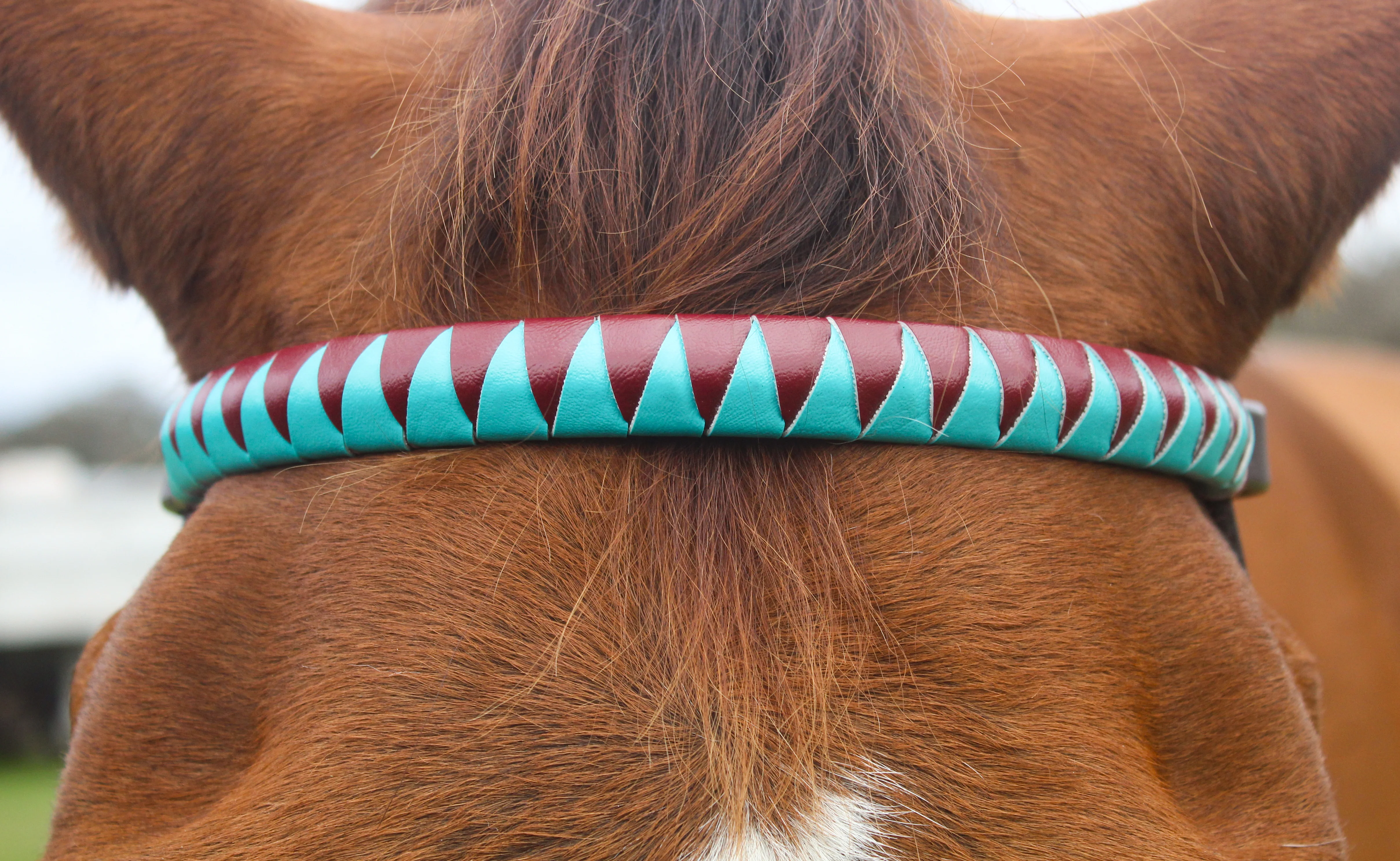 TS Custom Browbands - Image 6