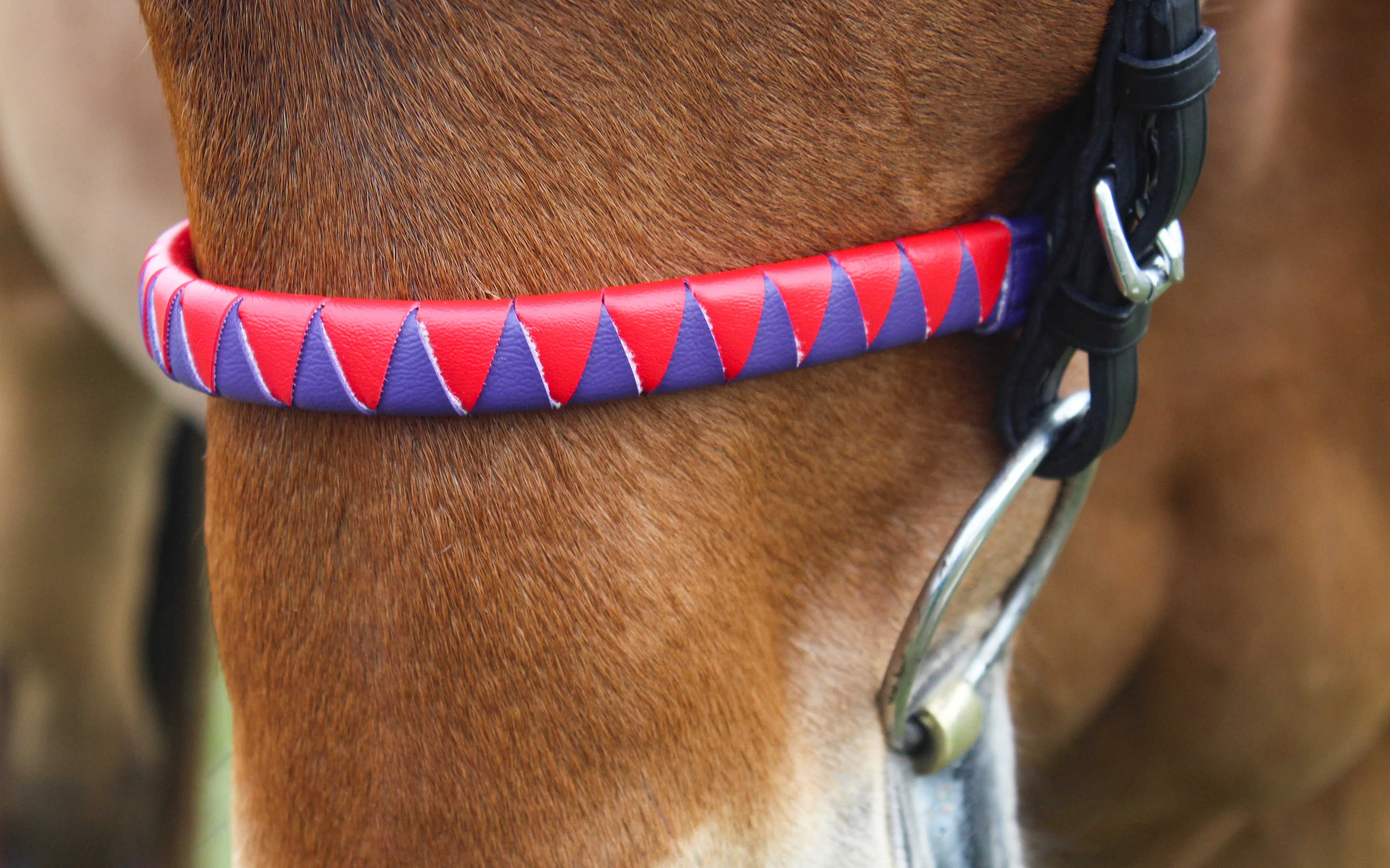 TS Custom Sharkstooth Noseband - Image 4