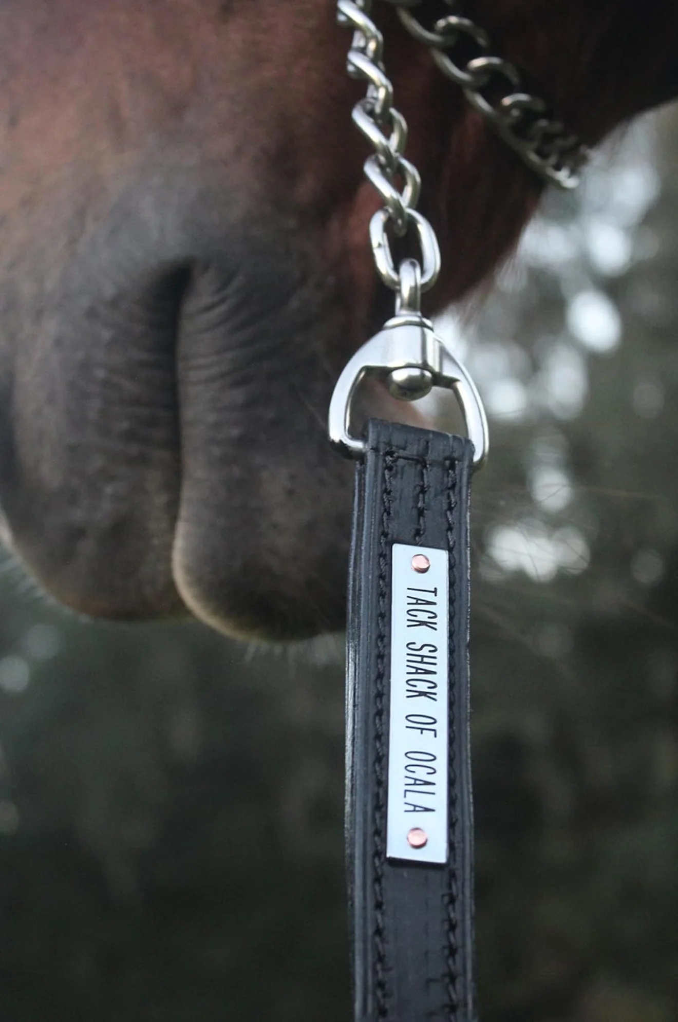 TS Leather Shank - Image 3