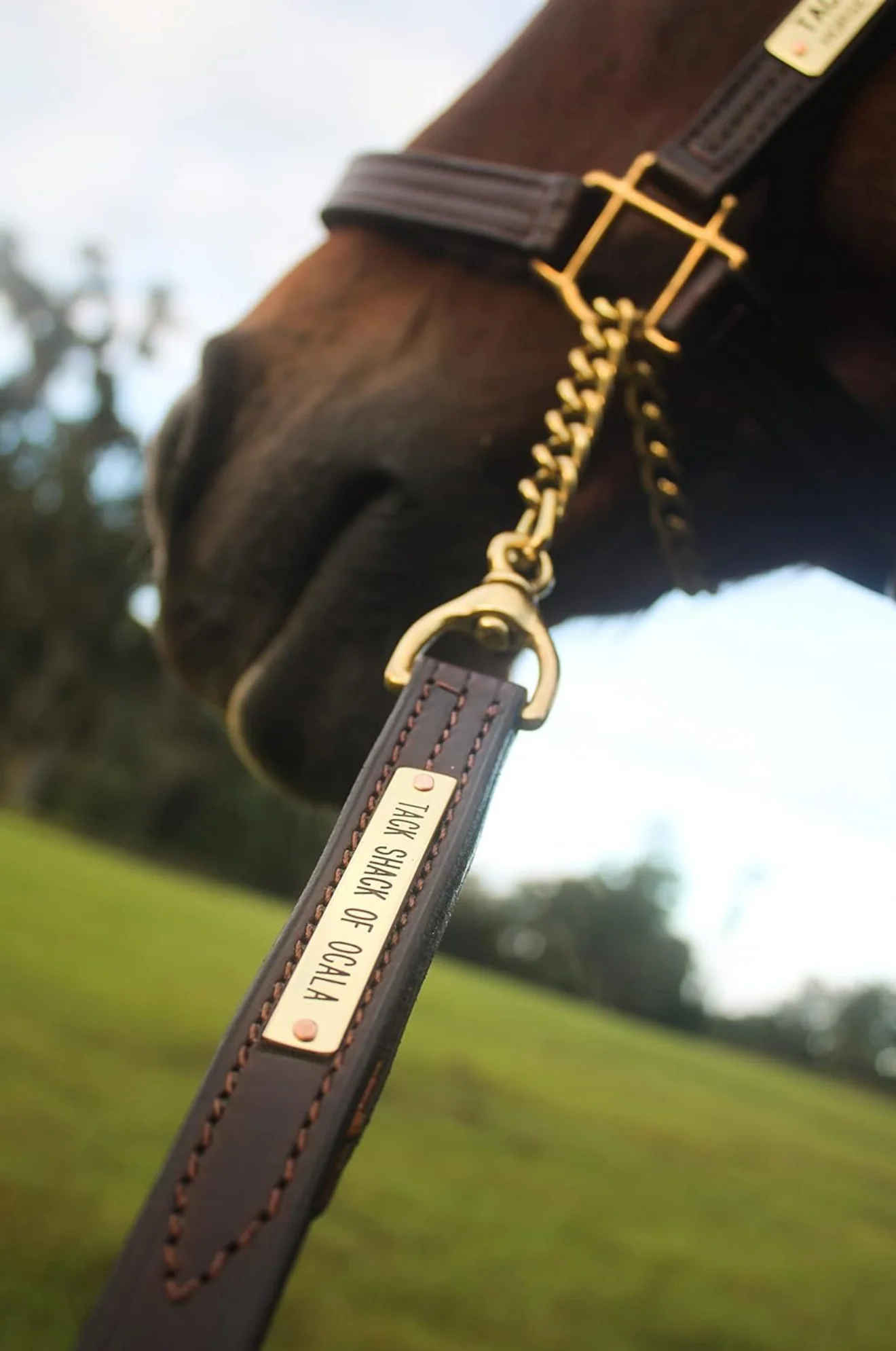 TS Leather Shank - Image 5
