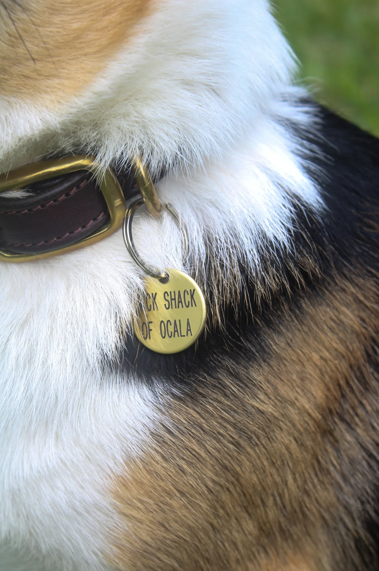 Round Tags - Image 3