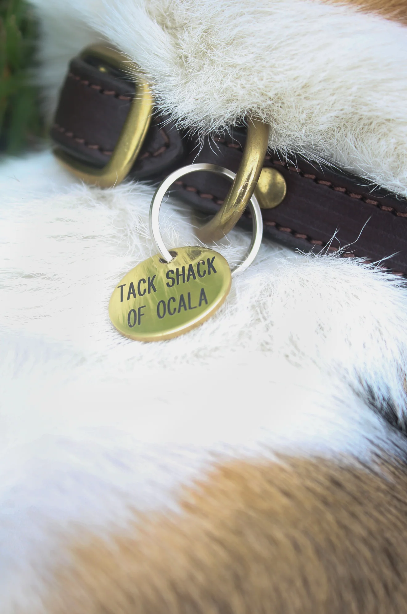 Round Tags - Image 4