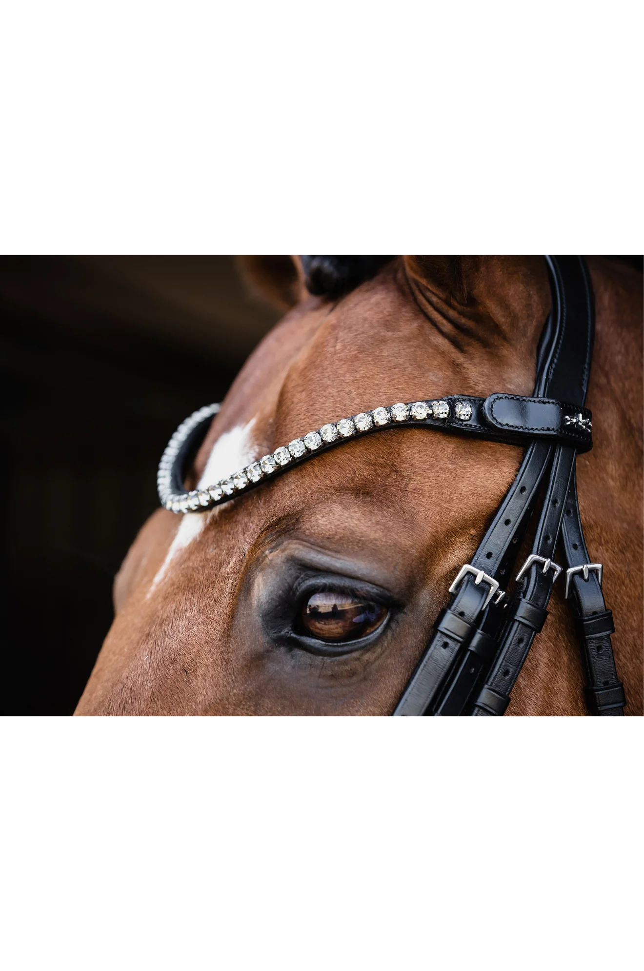 Schockemöhle SP Milazzo Double Bridle - Image 3