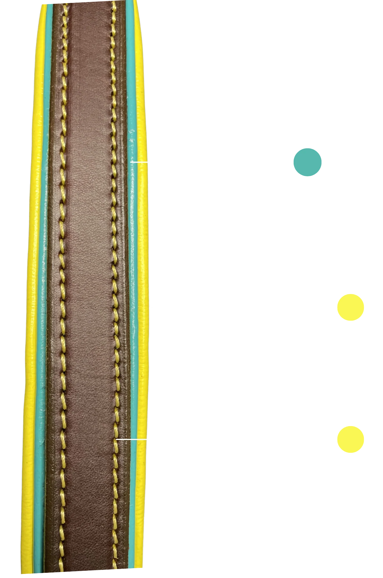 TS Custom Leather Dog Collar - Image 3